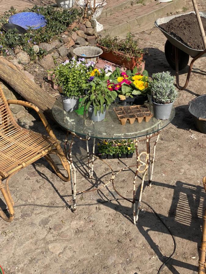Spurensucher Quartier Usedom Town Екстер'єр фото